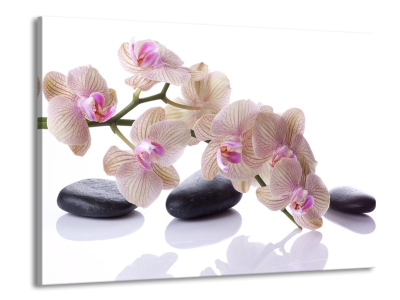 Canvas schilderij Orchidee | Wit, Zwart, Roze | 100x70cm 1Luik