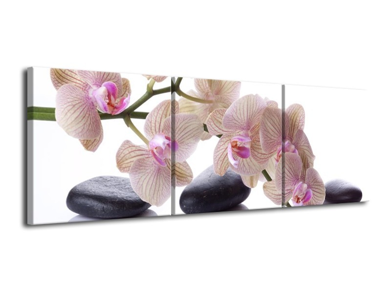 Glas schilderij Orchidee | Wit, Zwart, Roze | 120x40cm 3Luik