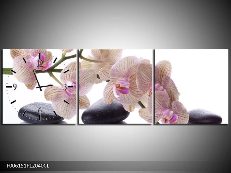 Klok schilderij Orchidee | Wit, Zwart, Roze | 120x40cm 3Luik