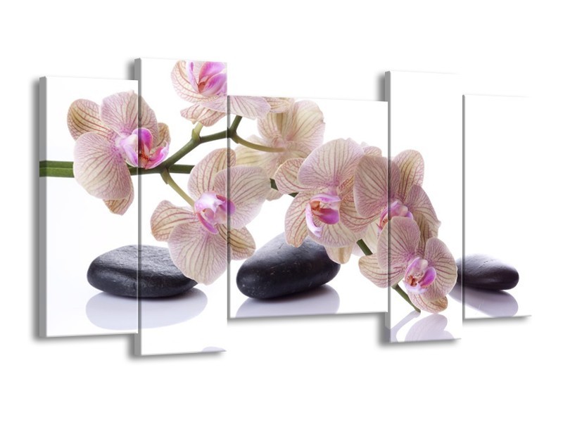 Canvas schilderij Orchidee | Wit, Zwart, Roze | 120x65 5Luik