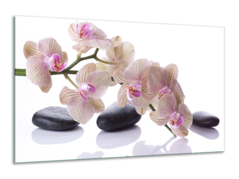 Canvas schilderij Orchidee | Wit, Zwart, Roze | 120x70cm 1Luik