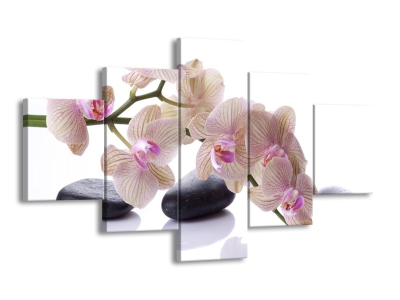 Canvas schilderij Orchidee | Wit, Zwart, Roze | 125x70cm 5Luik