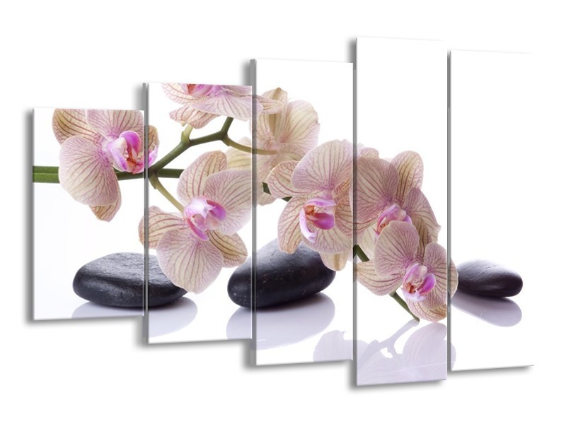 Canvas schilderij Orchidee | Wit, Zwart, Roze | 150x100cm 5Luik
