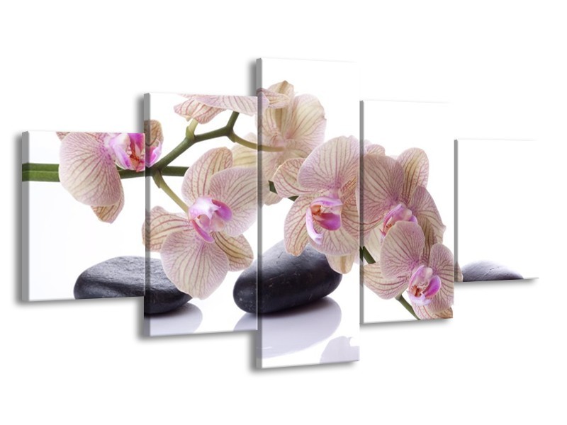 Canvas schilderij Orchidee | Wit, Zwart, Roze | 150x80cm 5Luik
