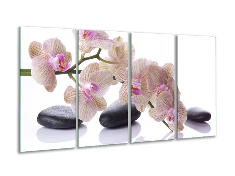 Canvas schilderij Orchidee | Wit, Zwart, Roze | 160x80cm 4Luik