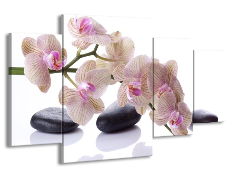 Canvas schilderij Orchidee | Wit, Zwart, Roze | 160x90cm 4Luik