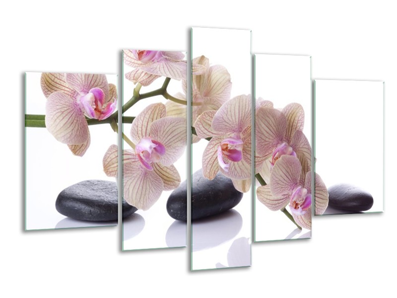 Canvas schilderij Orchidee | Wit, Zwart, Roze | 170x100cm 5Luik