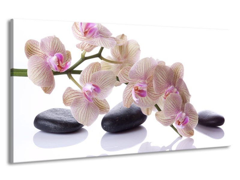 Canvas schilderij Orchidee | Wit, Zwart, Roze | 190x100cm 1Luik