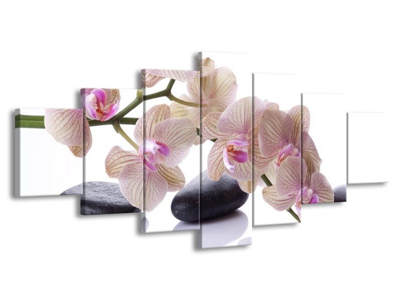 Canvas schilderij Orchidee | Wit, Zwart, Roze | 210x100cm 7Luik