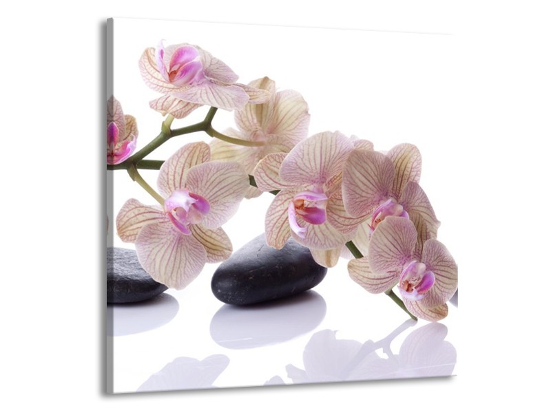 Canvas schilderij Orchidee | Wit, Zwart, Roze | 50x50cm 1Luik