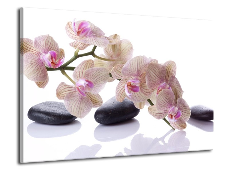 Canvas schilderij Orchidee | Wit, Zwart, Roze | 70x50cm 1Luik