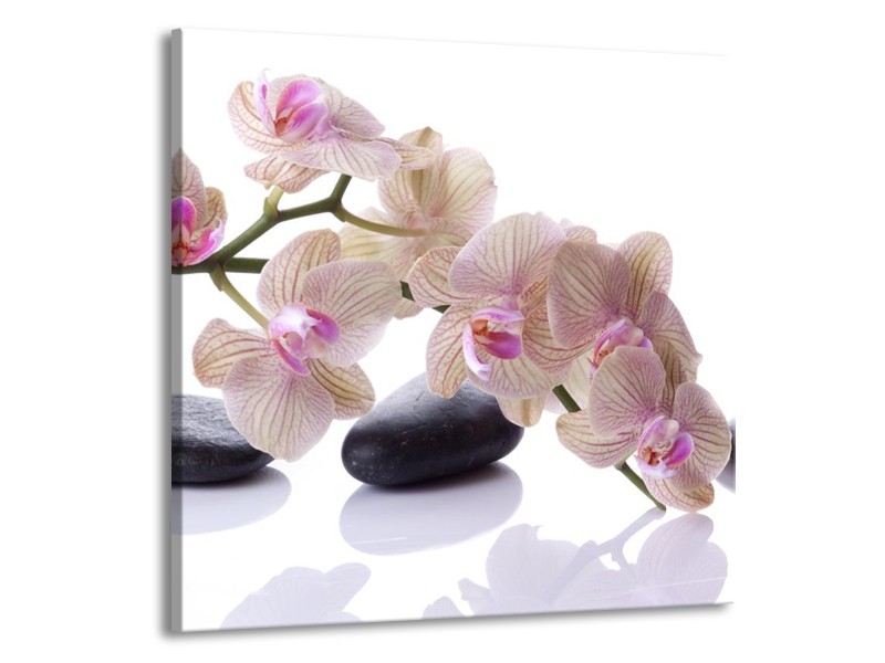Canvas schilderij Orchidee | Wit, Zwart, Roze | 70x70cm 1Luik