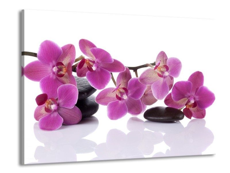 Canvas schilderij Orchidee | Paars, Wit | 100x70cm 1Luik