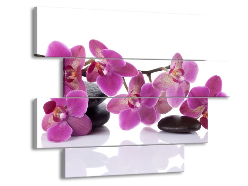 Canvas schilderij Orchidee | Paars, Wit | 115x85cm 4Luik