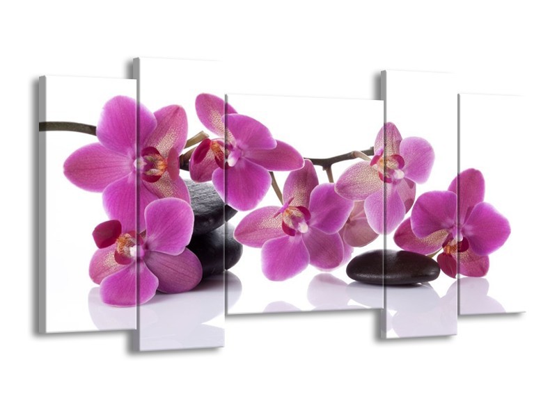 Canvas schilderij Orchidee | Paars, Wit | 120x65 5Luik