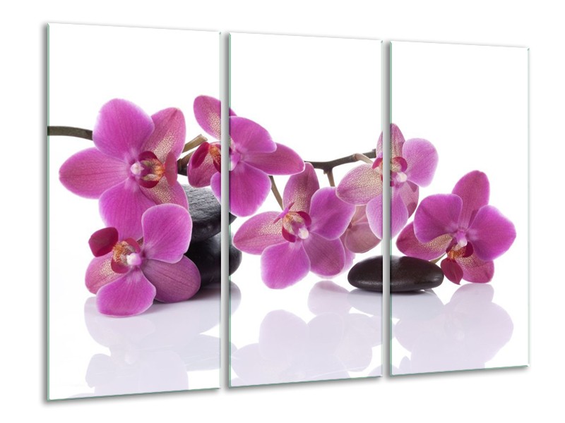 Canvas schilderij Orchidee | Paars, Wit | 120x80cm 3Luik