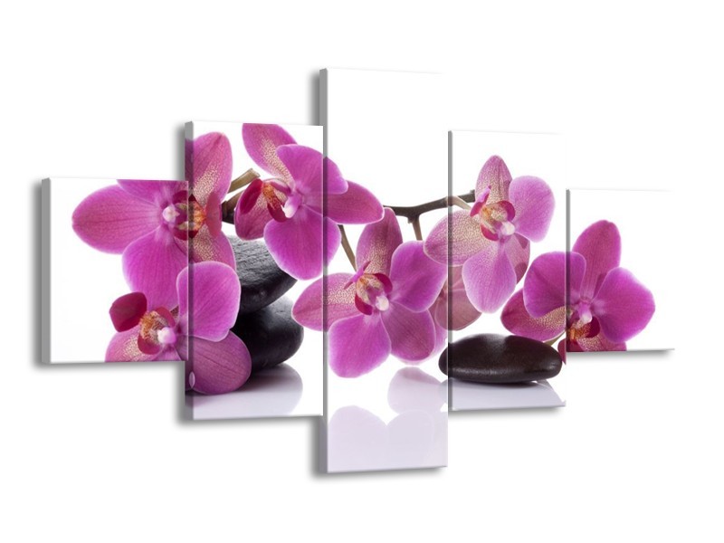 Canvas schilderij Orchidee | Paars, Wit | 125x70cm 5Luik