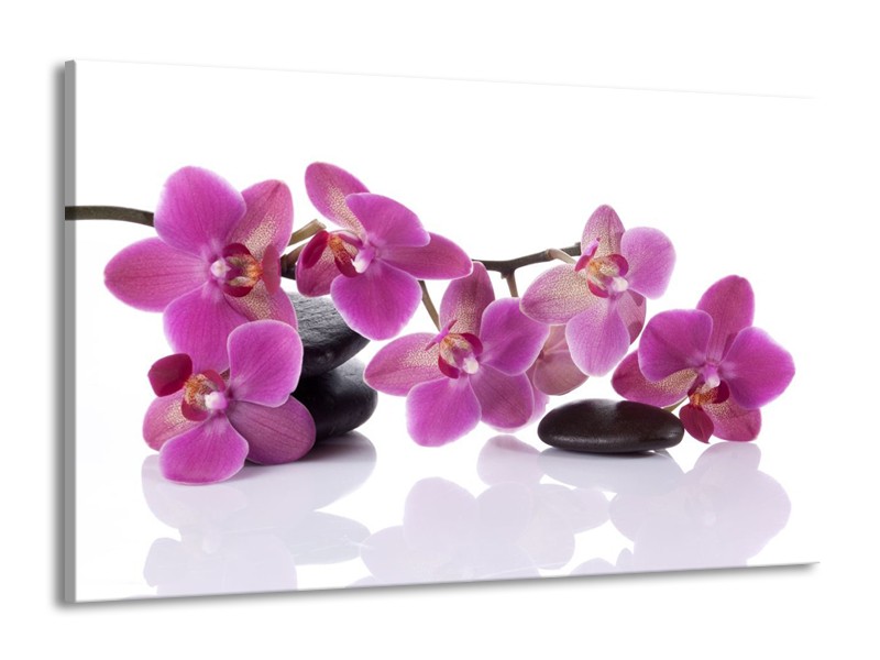 Canvas schilderij Orchidee | Paars, Wit | 140x90cm 1Luik