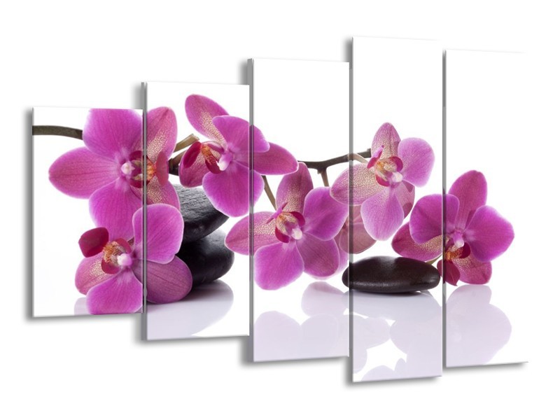 Canvas schilderij Orchidee | Paars, Wit | 150x100cm 5Luik