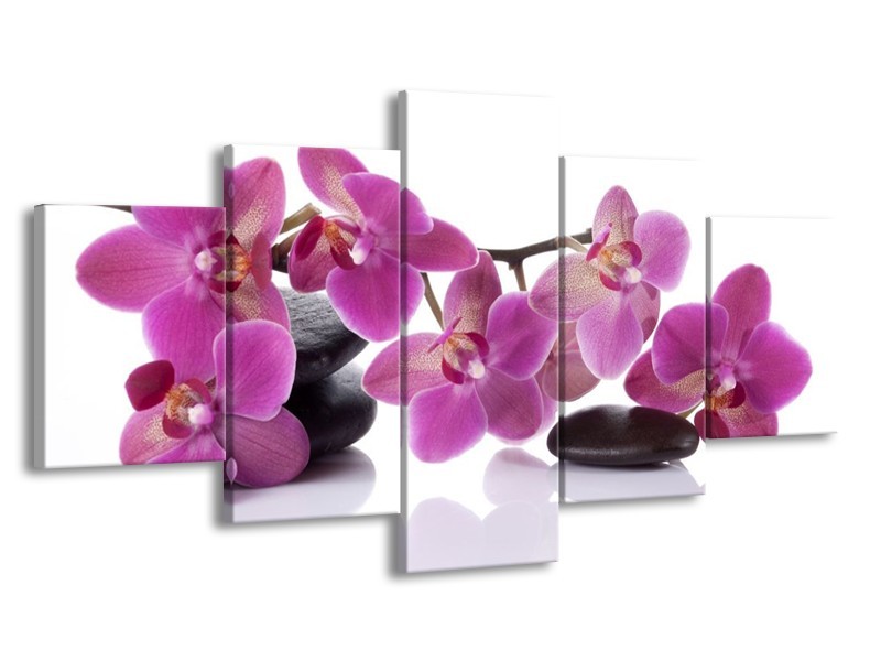 Canvas schilderij Orchidee | Paars, Wit | 150x80cm 5Luik