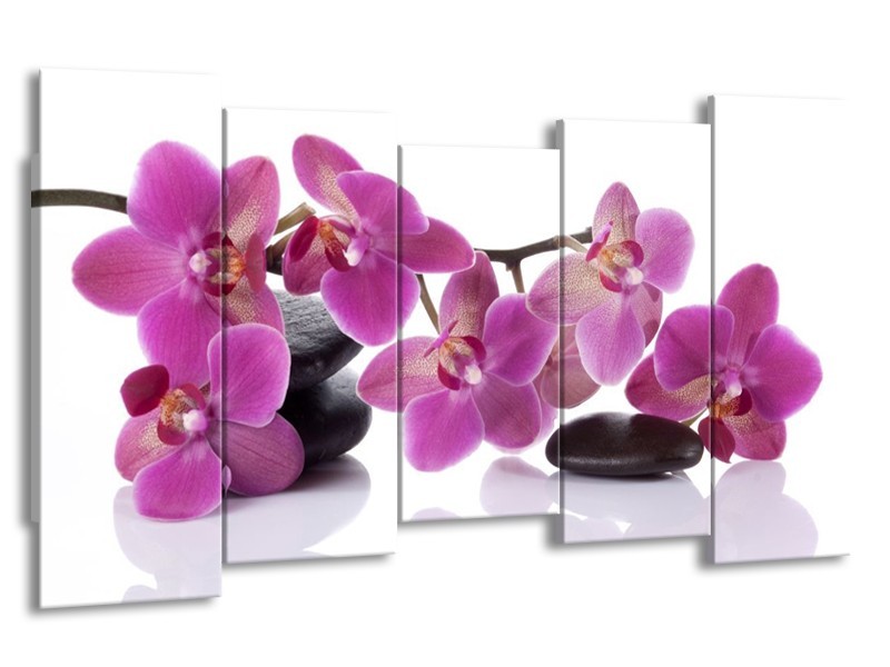 Canvas schilderij Orchidee | Paars, Wit | 150x80cm 5Luik