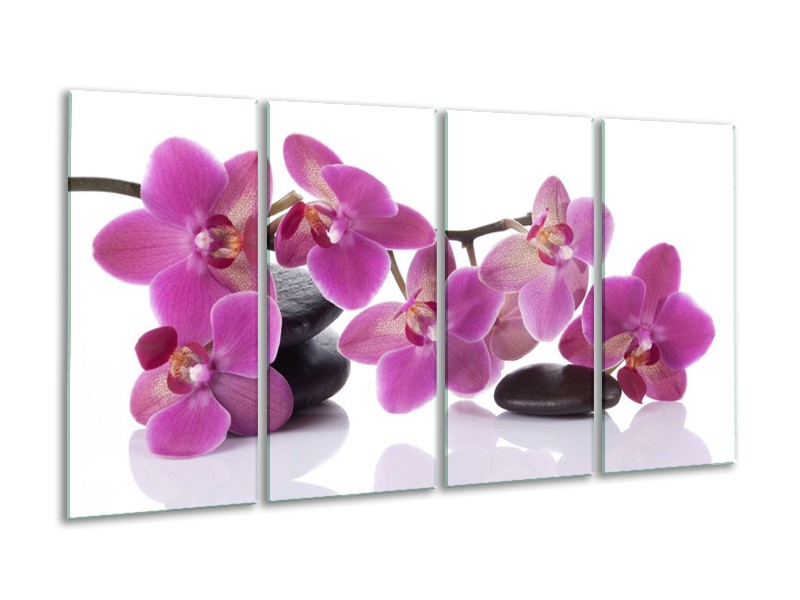 Canvas schilderij Orchidee | Paars, Wit | 160x80cm 4Luik