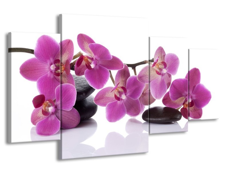 Canvas schilderij Orchidee | Paars, Wit | 160x90cm 4Luik