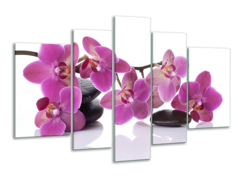 Canvas schilderij Orchidee | Paars, Wit | 170x100cm 5Luik