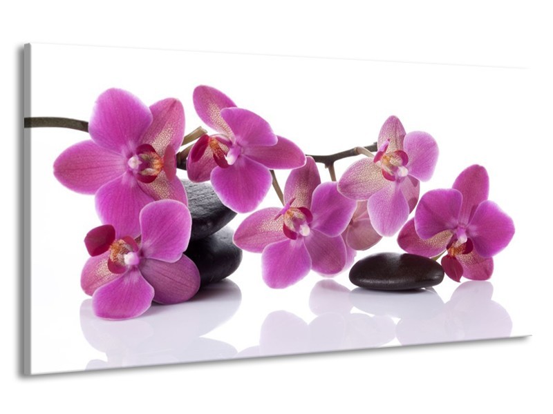 Canvas schilderij Orchidee | Paars, Wit | 190x100cm 1Luik