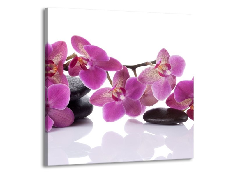 Canvas schilderij Orchidee | Paars, Wit | 50x50cm 1Luik