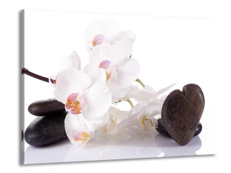 Canvas schilderij Orchidee | Wit, Zwart | 100x70cm 1Luik