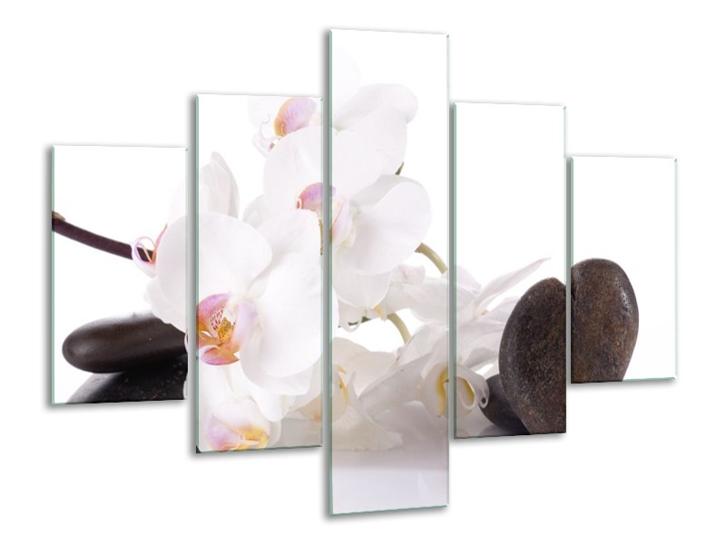Canvas schilderij Orchidee | Wit, Zwart | 100x70cm 5Luik