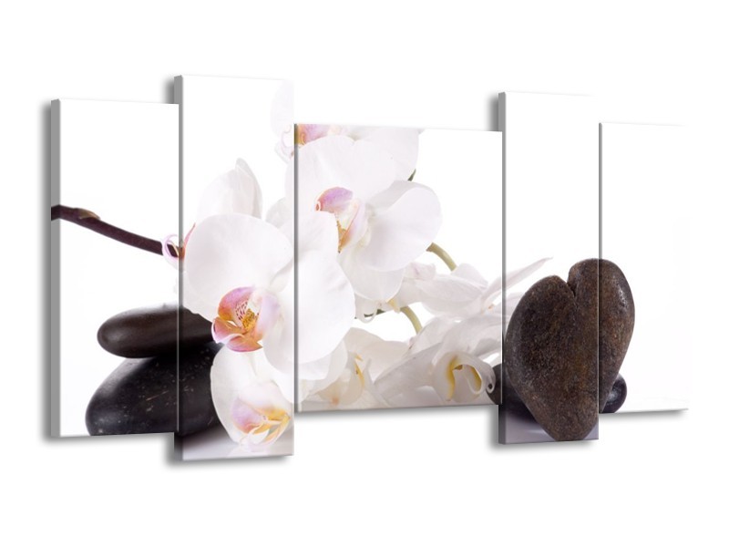 Canvas schilderij Orchidee | Wit, Zwart | 120x65 5Luik