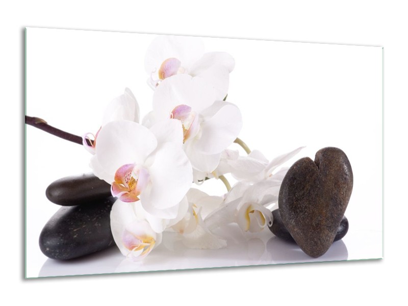 Canvas schilderij Orchidee | Wit, Zwart | 120x70cm 1Luik
