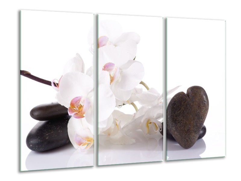 Canvas schilderij Orchidee | Wit, Zwart | 120x80cm 3Luik