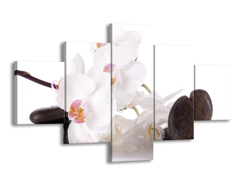 Canvas schilderij Orchidee | Wit, Zwart | 125x70cm 5Luik