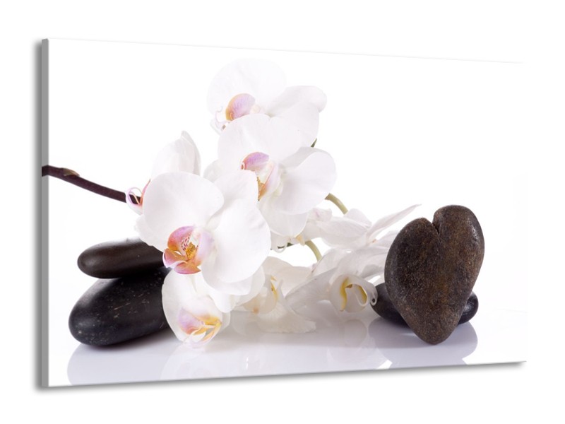 Canvas schilderij Orchidee | Wit, Zwart | 140x90cm 1Luik