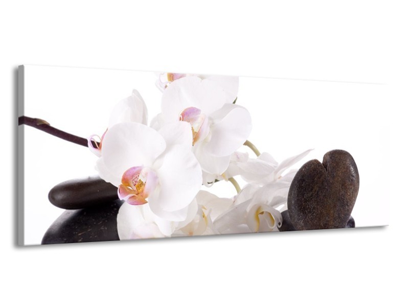 Canvas schilderij Orchidee | Wit, Zwart | 145x58cm 1Luik