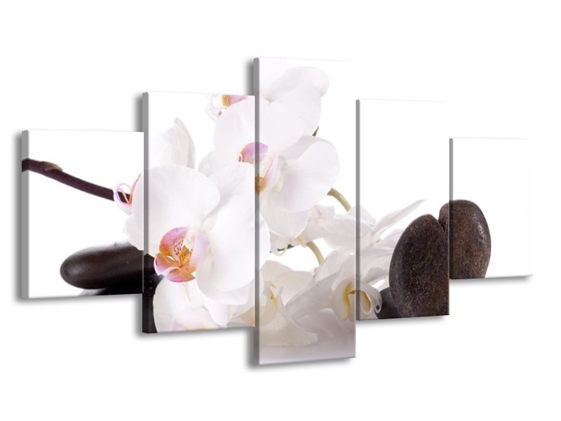 Canvas schilderij Orchidee | Wit, Zwart | 150x80cm 5Luik