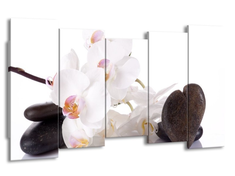 Canvas schilderij Orchidee | Wit, Zwart | 150x80cm 5Luik
