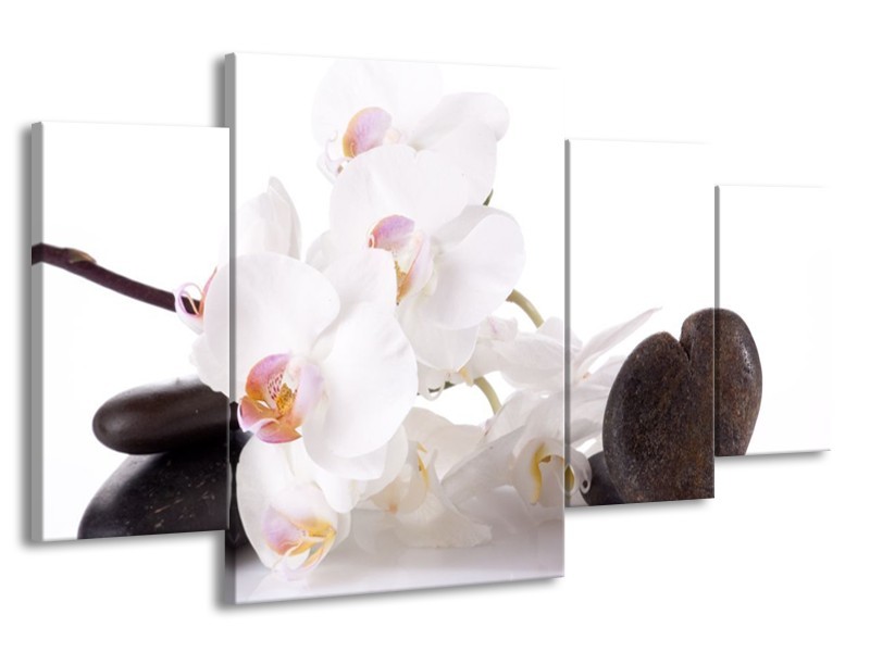 Canvas schilderij Orchidee | Wit, Zwart | 160x90cm 4Luik