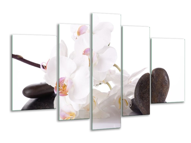 Canvas schilderij Orchidee | Wit, Zwart | 170x100cm 5Luik