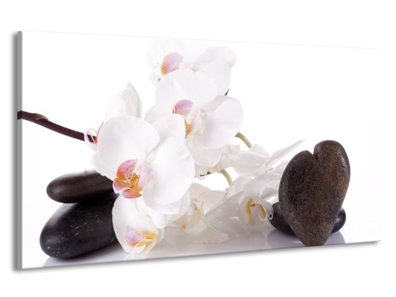 Canvas schilderij Orchidee | Wit, Zwart | 190x100cm 1Luik