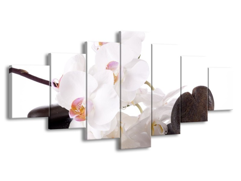 Canvas schilderij Orchidee | Wit, Zwart | 210x100cm 7Luik