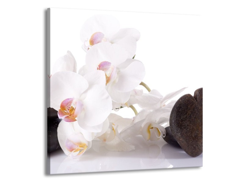 Canvas schilderij Orchidee | Wit, Zwart | 50x50cm 1Luik