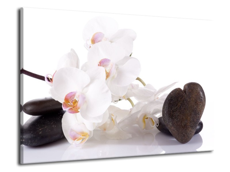 Canvas schilderij Orchidee | Wit, Zwart | 70x50cm 1Luik