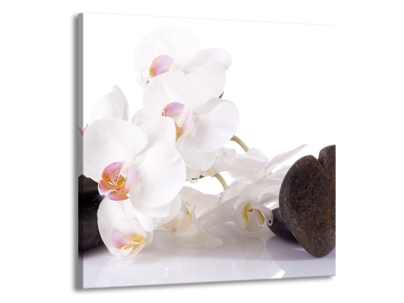 Canvas schilderij Orchidee | Wit, Zwart | 70x70cm 1Luik
