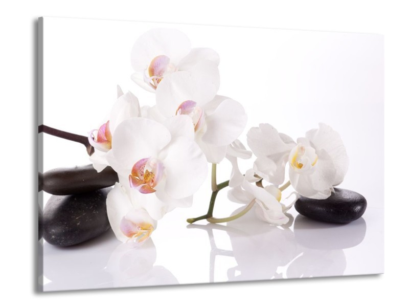 Canvas schilderij Orchidee | Wit, Zwart | 100x70cm 1Luik