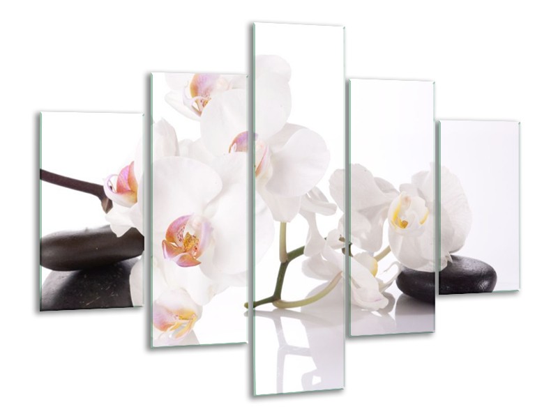 Canvas schilderij Orchidee | Wit, Zwart | 100x70cm 5Luik