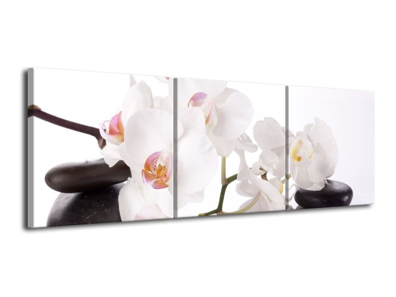 Glas schilderij Orchidee | Wit, Zwart | 120x40cm 3Luik